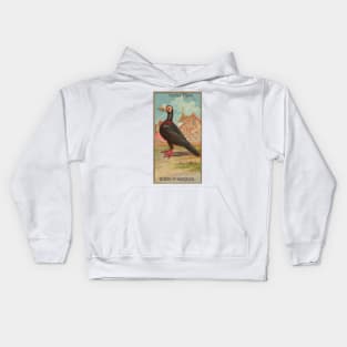 Carrier Pigeon Birds of America Antique Illustration Kids Hoodie